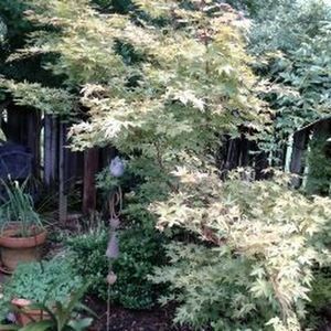 Meet your Posher, Jeannette